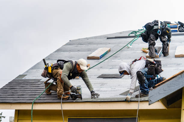 Professional Flat Roof Repair technician working in New Trenton, IN